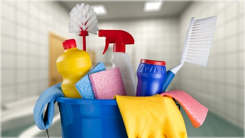 Transparent pricing for Longlands carpet cleaners in a residential property