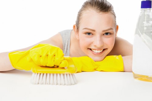 Upholstery and carpet freshening after pet accidents in Longlands
