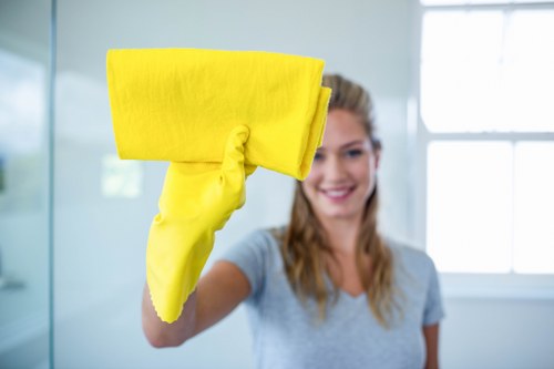 Longlands Carpet Cleaners accessibility statement introduction