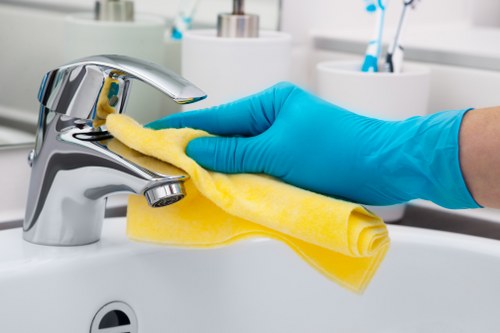Carpet maintenance and deep cleaning in Longlands home