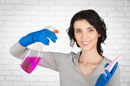 Risk assessment checklist for a professional carpet cleaning job