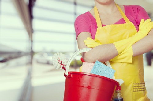 Professional carpet cleaning assessment in a Longlands home
